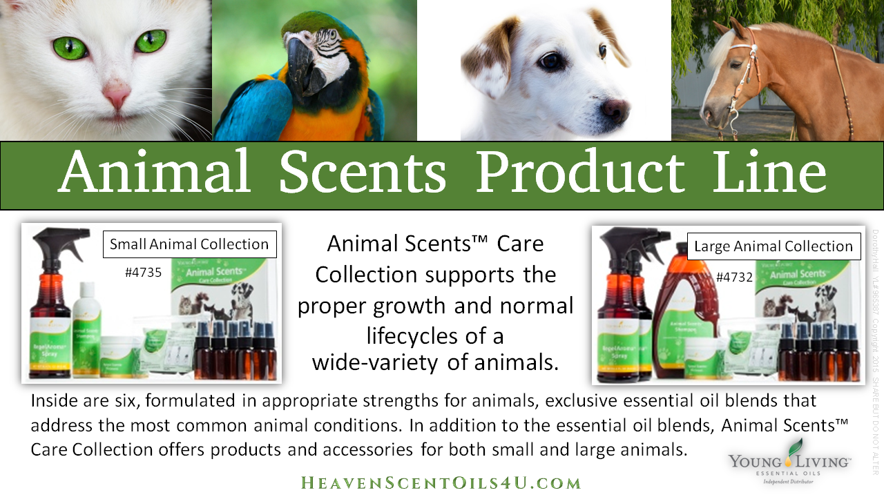 Animal Scents Ointment and Product Line