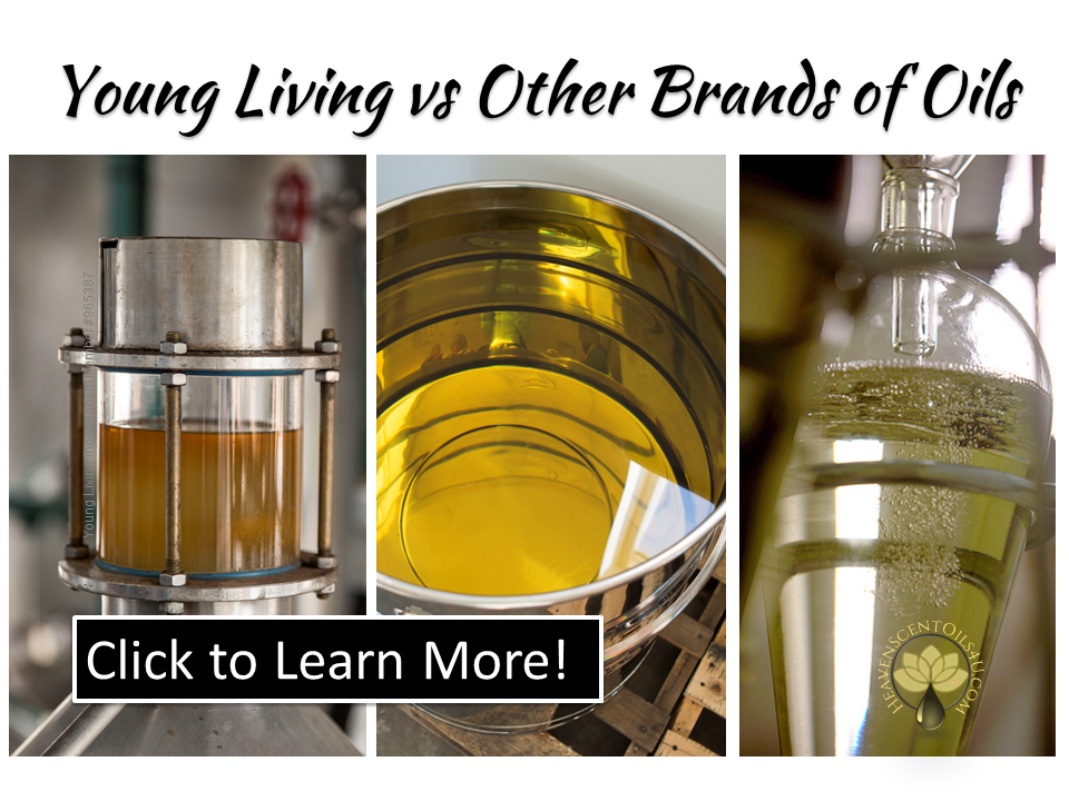 Young Living Vs Other Brands