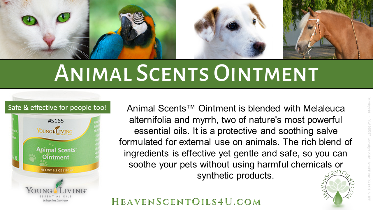 Animal Scents Ointment and Product Line